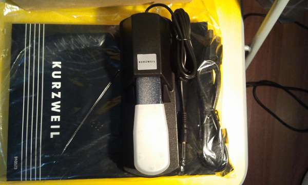 ȫ�µ�̤��˵����