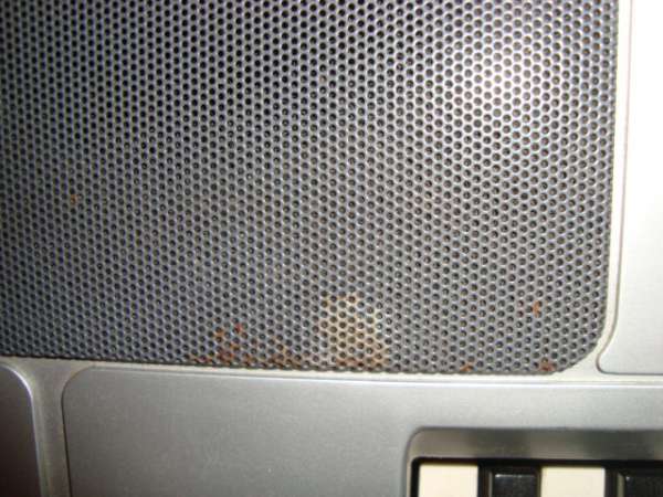 DSC07720.JPG