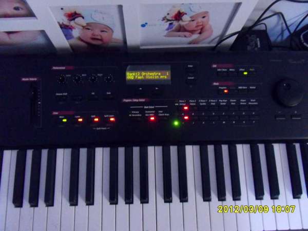 SDC13521.JPG