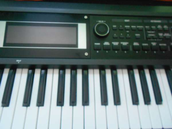 DSCN0613.JPG