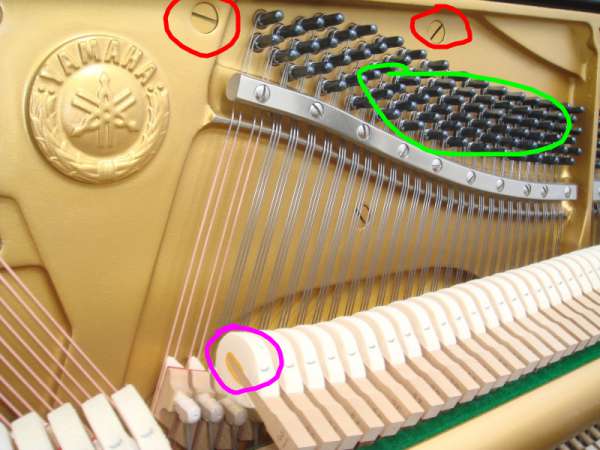 pin_.jpg