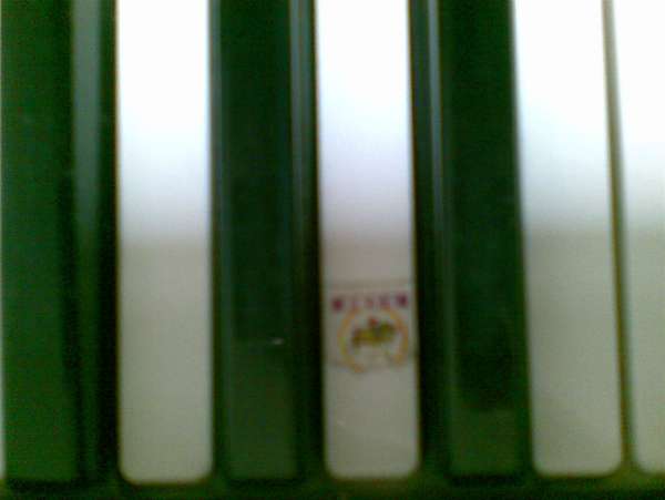 20120404(010).jpg