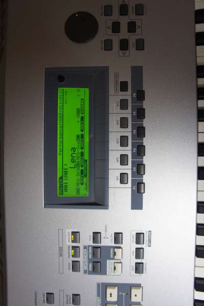 04.jpg