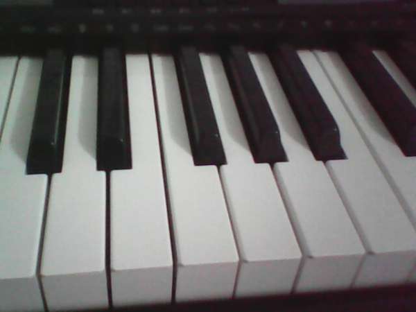 IMG0031A.jpg