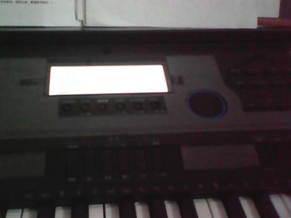 IMG0032A.jpg
