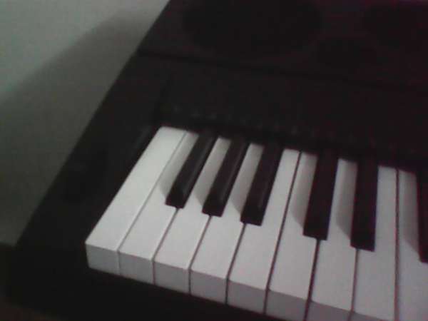IMG0033A.jpg