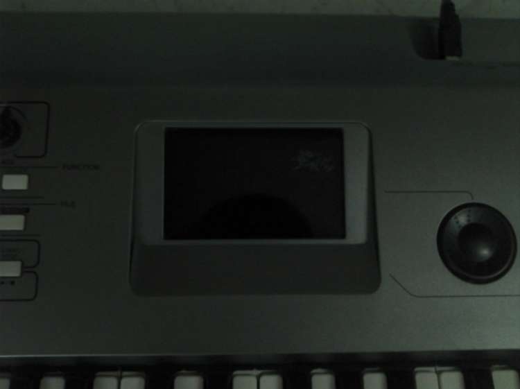 IMG_20120625_120731.jpg