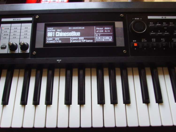 SSL20738.JPG