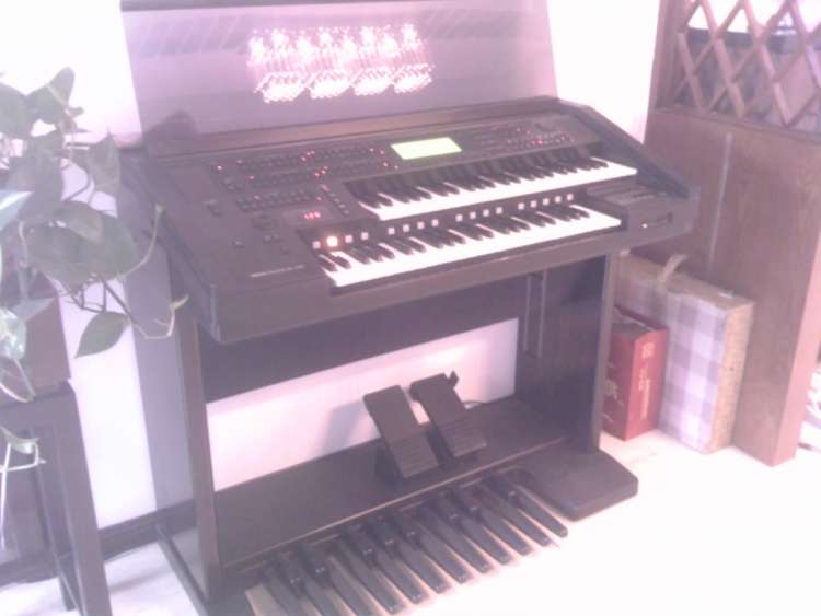 IMAG0152.jpg