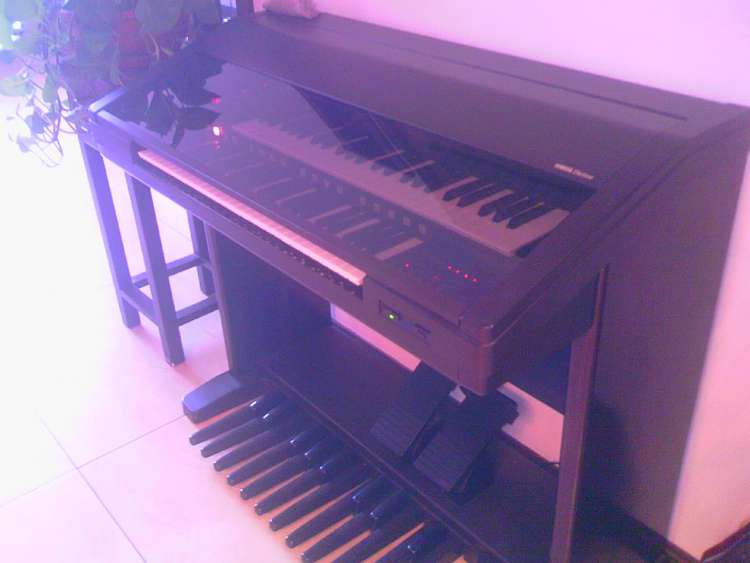 IMAG0144.jpg
