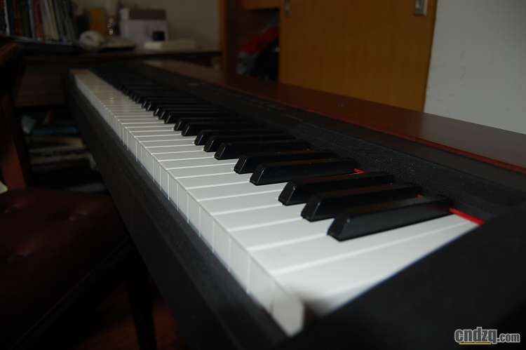 215942z5biep2bppoi1qjo.jpg