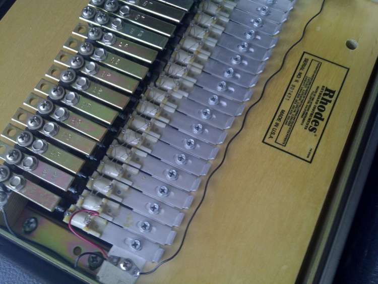 IMG-20111104-00119.jpg