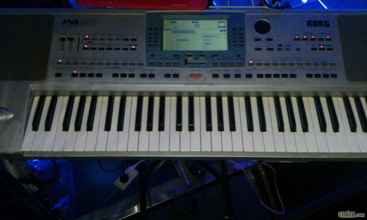 �ٵ���������