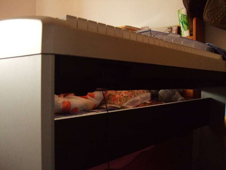 ���Ӳ���