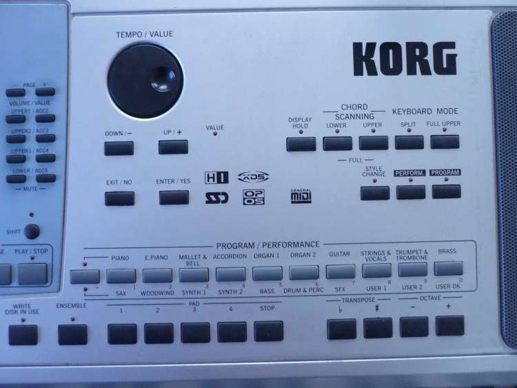 תKORG-PA50