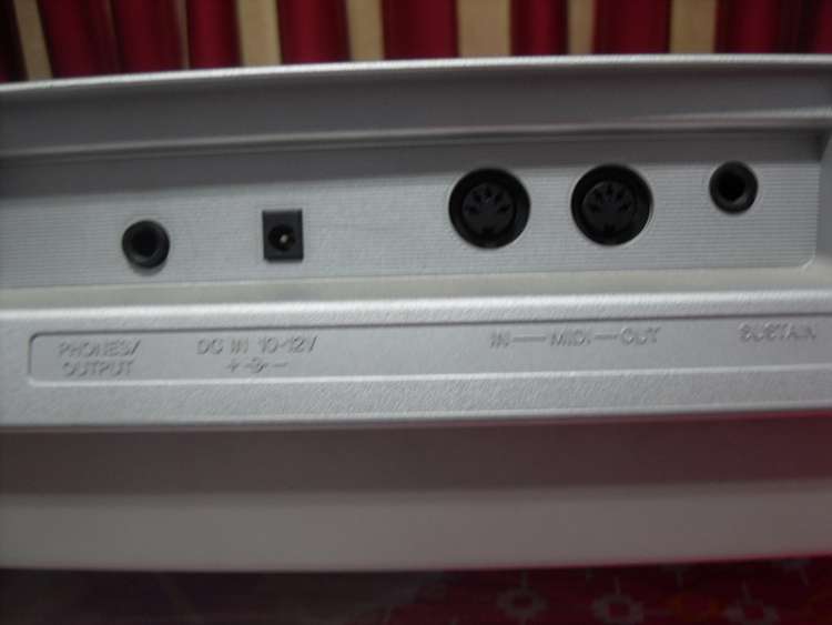 SDC13146_.jpg