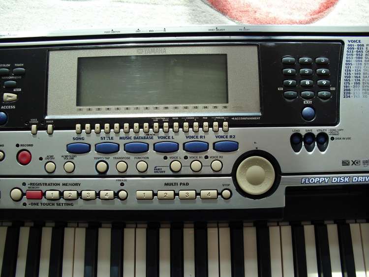 DSCI0101.JPG