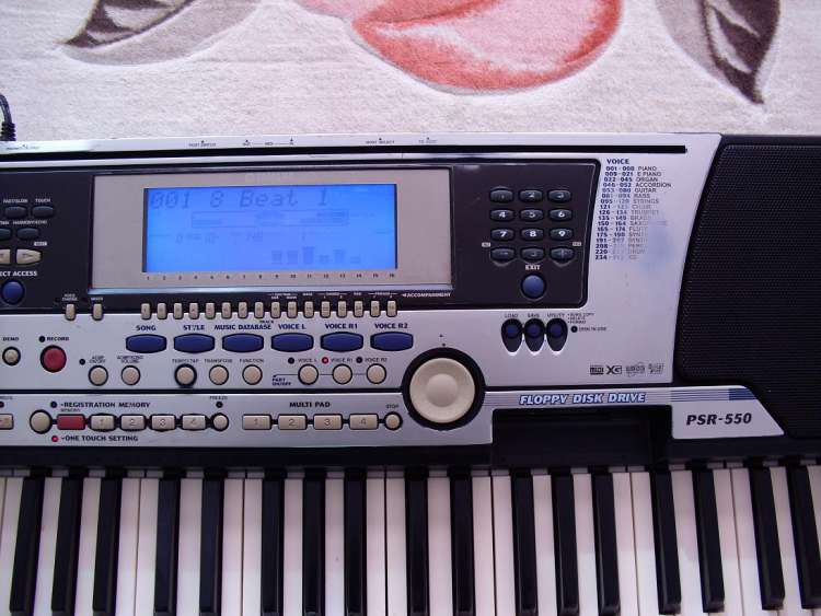 DSCI0105.JPG