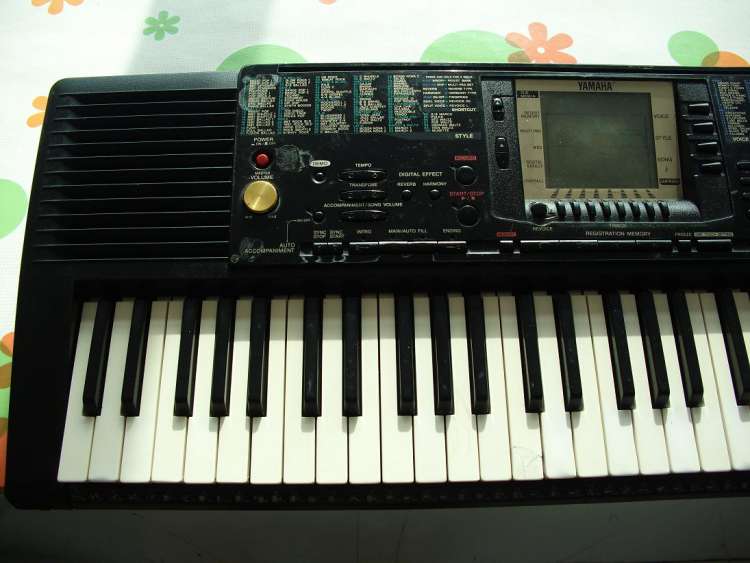 DSCI0107.JPG