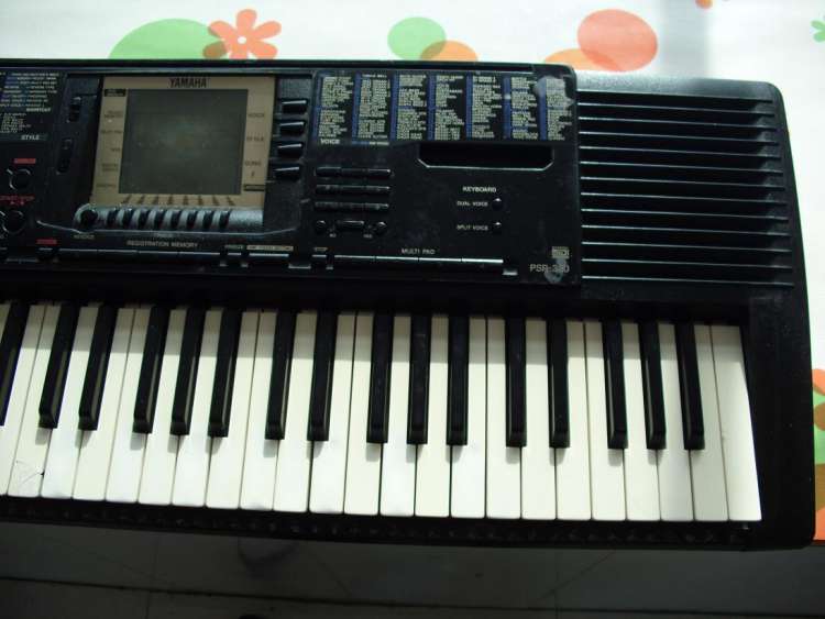 DSCI0108.JPG