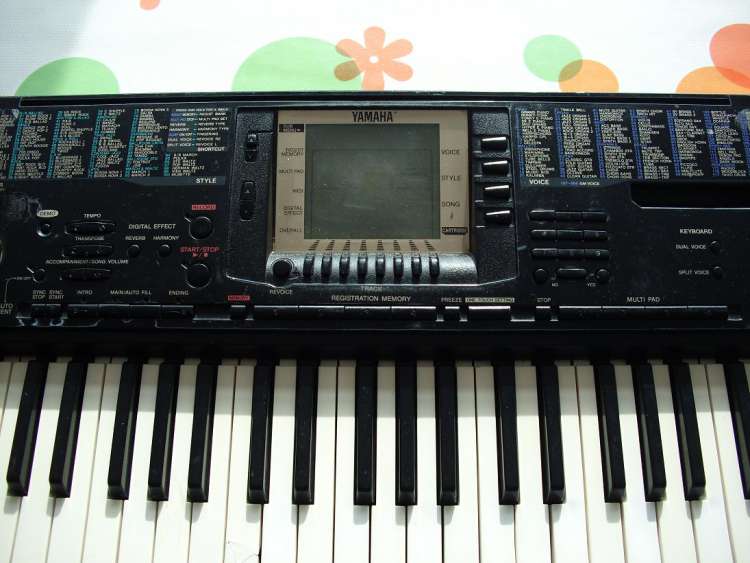 DSCI0109.JPG