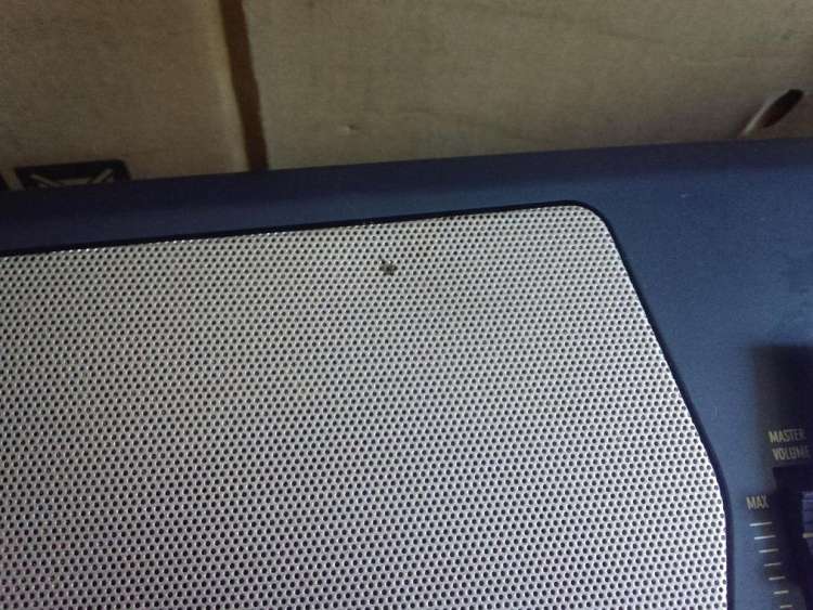 ��һ��㰼��ȥ