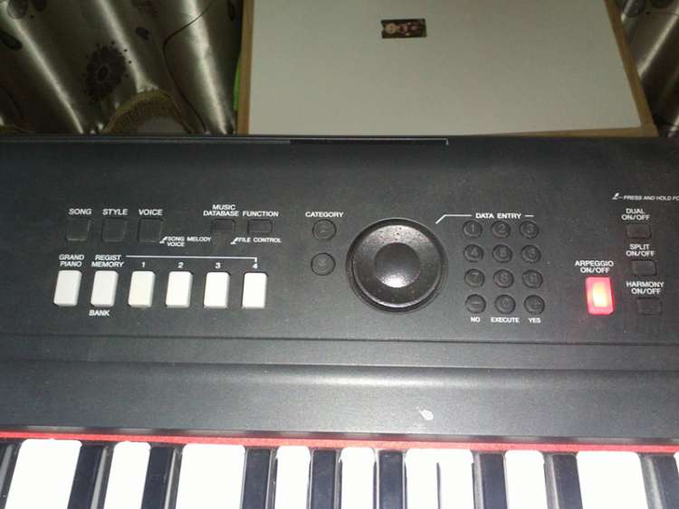 IMG205.jpg