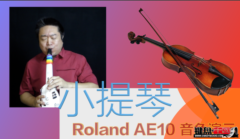 Roland紵AE10ٷʾ-Сɫs .png