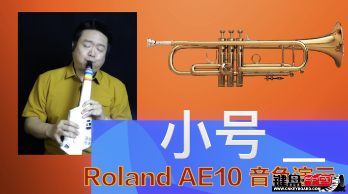 Roland紵AE10ٷʾ2-С_resize.png