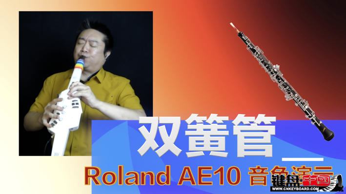 Roland紵AE10ٷʾ2-˫ɹ_resize.png