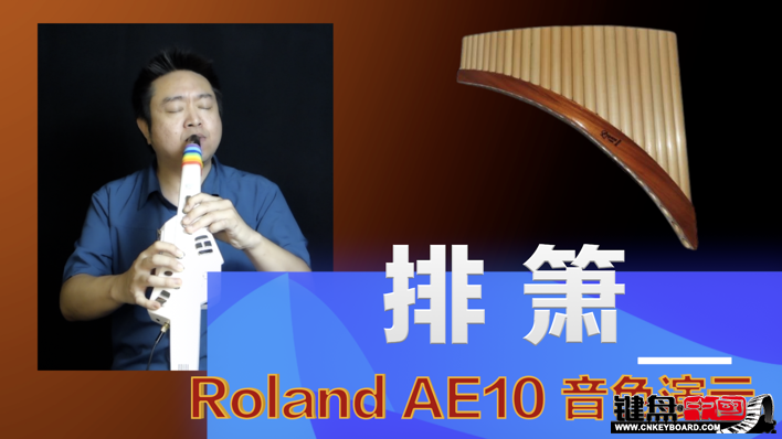 Roland紵AE10ٷʾ2-_resize.png