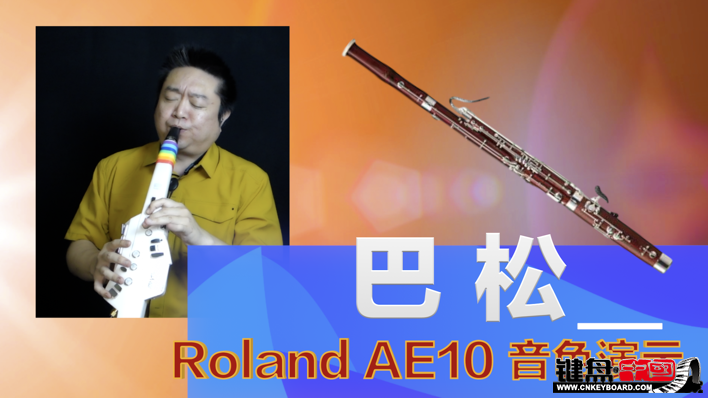 Roland紵AE10ٷʾ2-_resize.png