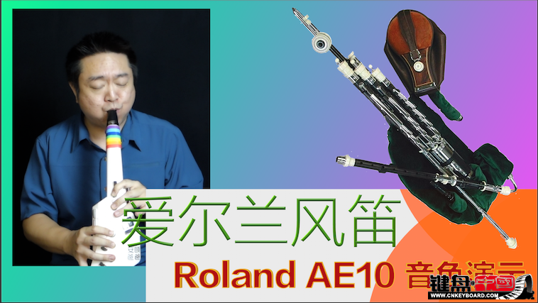 Roland紵AE10ٷʾ-ɫs .png