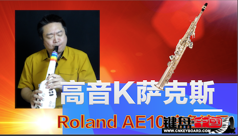 Roland紵AE10ٷʾ2-KGK˹S.png