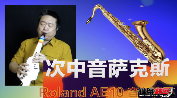 Roland紵AE10ٷʾ3-˹ɫ_resize.png