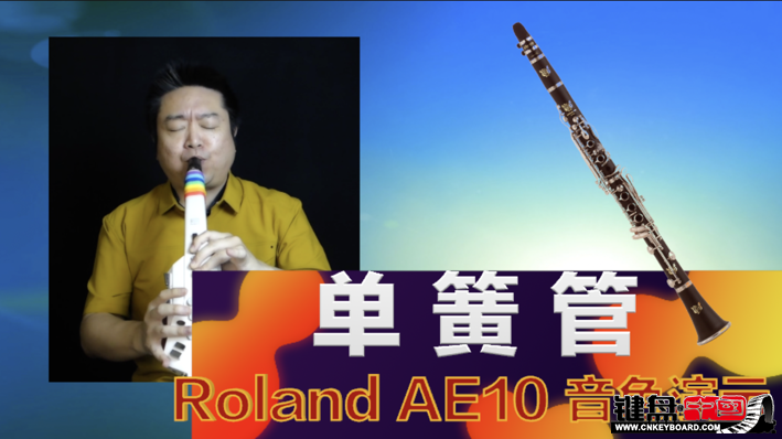 Roland紵AE10ٷʾ3-ɹɫ_resize.png