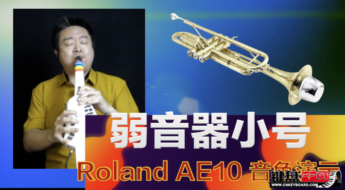 Roland紵AE10ٷʾ3-Сɫ_resize.png