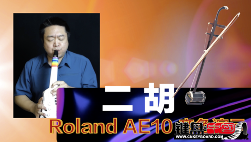 Roland紵AE10ٷʾ4-ɫ_resize.png