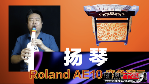 Roland紵AE10ٷʾ4-ɫ_resize.png