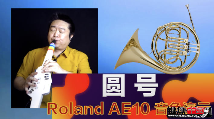 Roland紵AE10ٷʾ3-Բɫ_resize.png