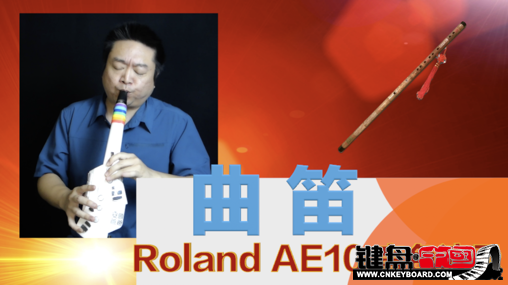 Roland紵AE10ٷʾ5-ɫ_resize.png