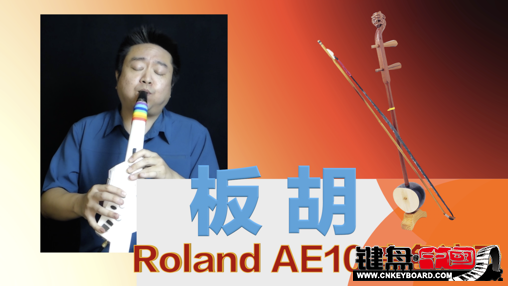 Roland紵AE10ٷʾ5-ɫ_resize.png