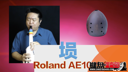 Roland紵AE10ٷʾ5-ɫ_resize.png