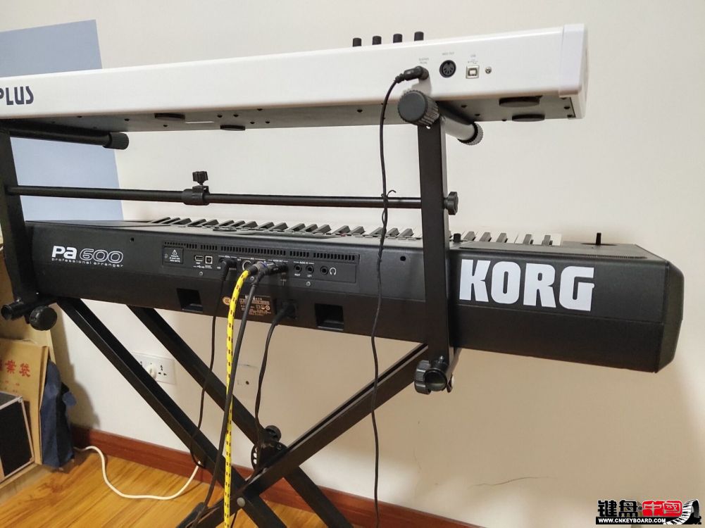 KORG Pa600رϧκοͰ