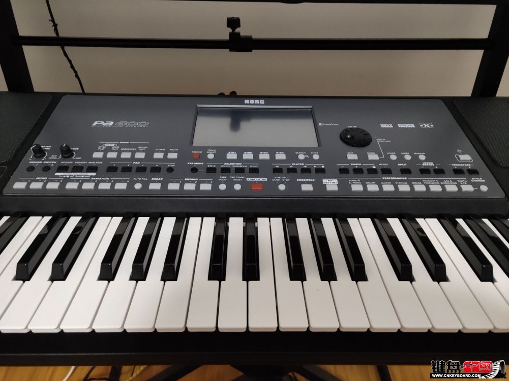 KORG Pa600رϧκοͰ