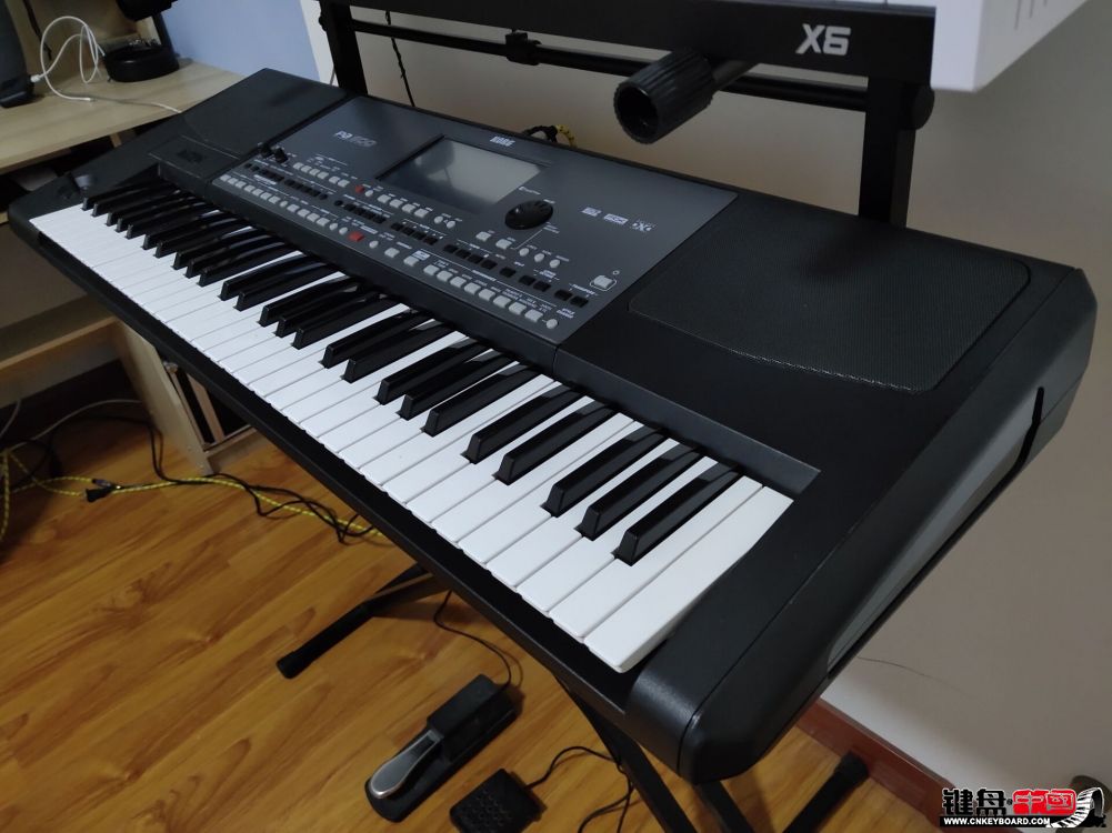 KORG Pa600رϧκοͰ