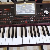 תһ̨9.9korg pa1000